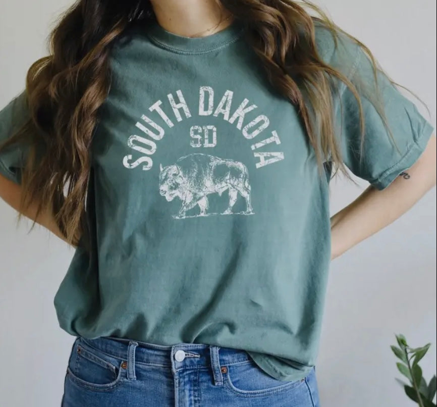 South Dakota Basic Tee- multi color options