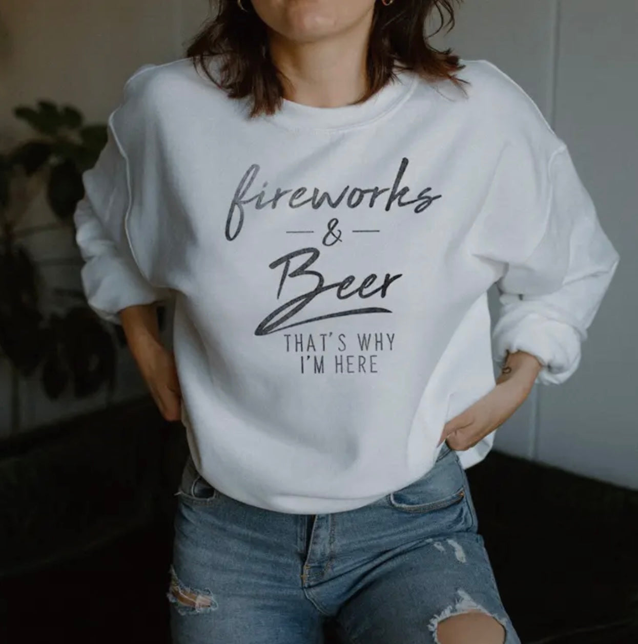 Fireworks & Beer Crew Neck Sweatshirt